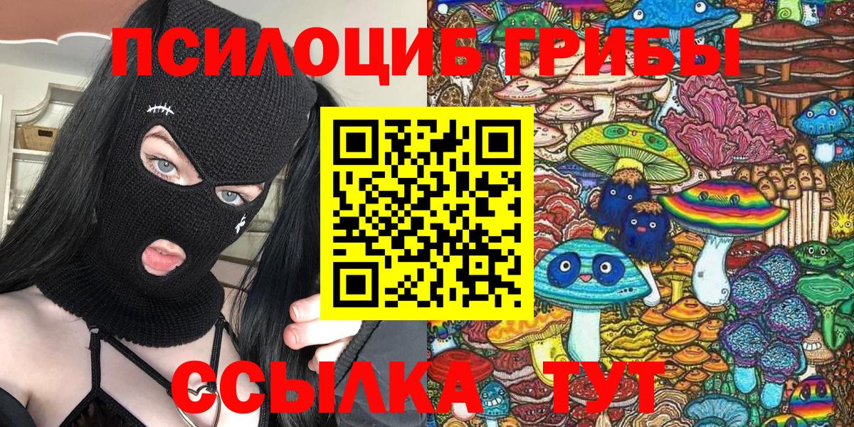 Псилоцибиновые грибы Cubensis  купить наркоту  Нерюнгри  Вход с VPN 